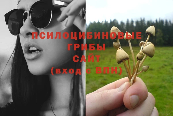 ешки Алексин