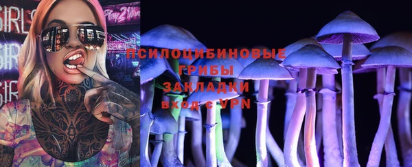 ешки Алексин