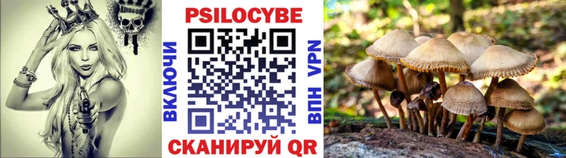 Псилоцибиновые грибы GOLDEN TEACHER  купить   Щигры 